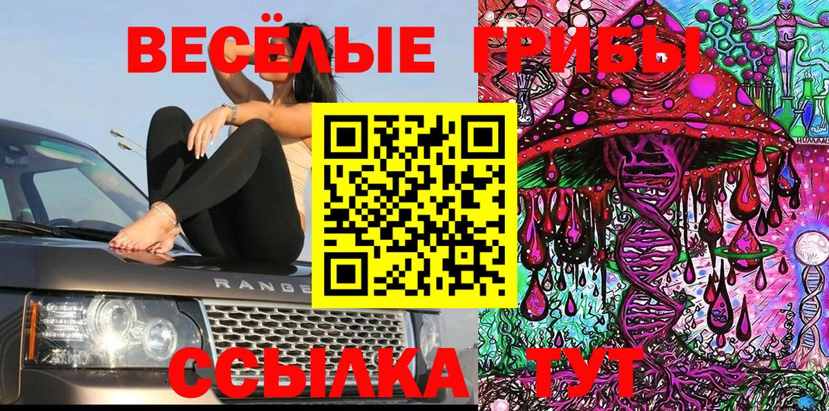 Нижний Тагил  Псилоцибиновые грибы ЛСД  Вход с VPN 